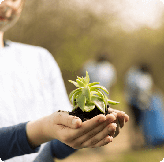 educacion-y-conciencia
